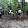 2017 - 2017 Horseback Riding